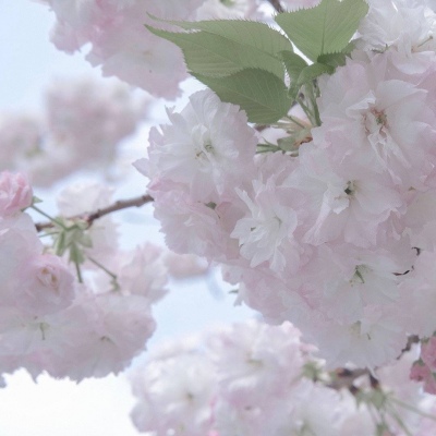 兽设配饰设计灵感福瑞交流群